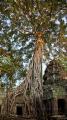 2009-11-14_17-01-42_4098_JP__F04-5_T1-0050_B024_iso0100.jpg