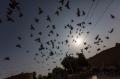 2013-10-27_07-41-53_JP_2308__F06-3_T1-5000_B016_iso000100.jpg
