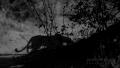 2016-07-06_10-02-49_JP_1166__F08-0_T1-1000_B560_iso000400_cr1-0.jpg
