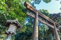 2017-10-18_07-06-11_JP_5766__F02-8_T1-0100_B024_iso000100_cr1-0.jpg